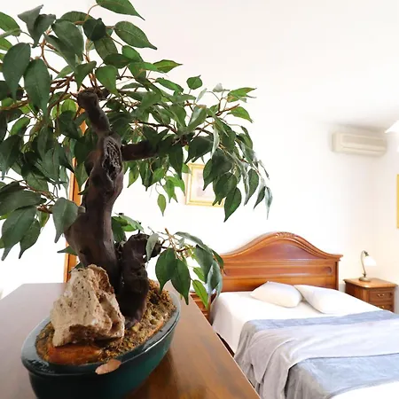 Calipsos In Holiday home *